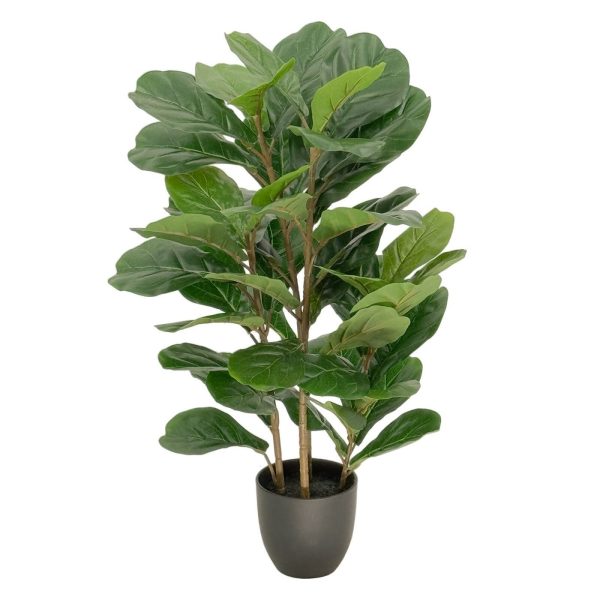 90cm Outdoor Fiddle Leaf Fig Tree