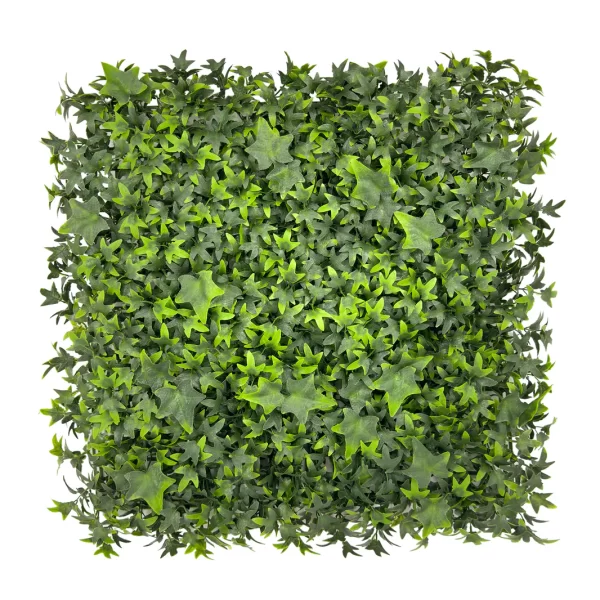 HGD 50x50cm English Ivy Tile