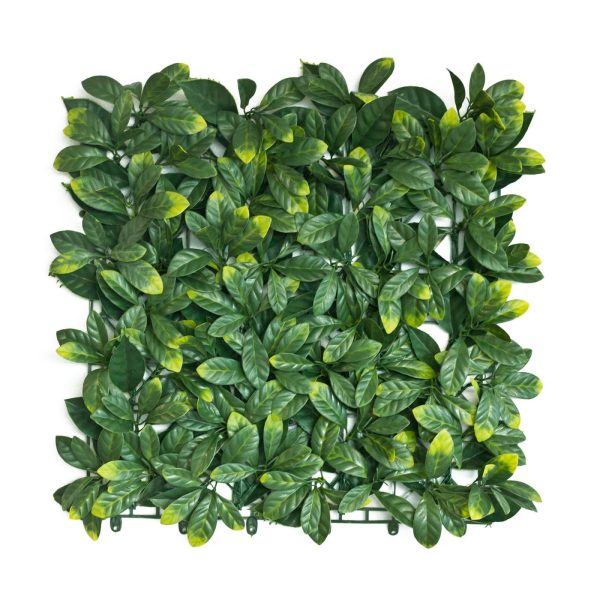 50x50cm Artificial Hedge Tile Green Photinia