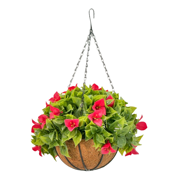 HGD 33cm Outdoor Pink Bougainvillea Hanging basket