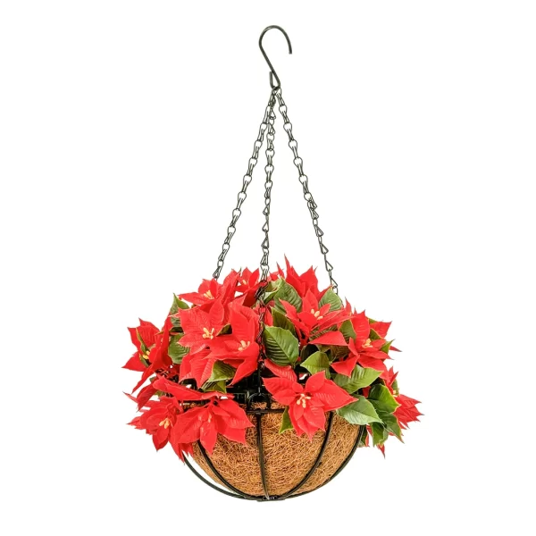 HGD 33cm Outdoor Red Poinsettia Hanging basket