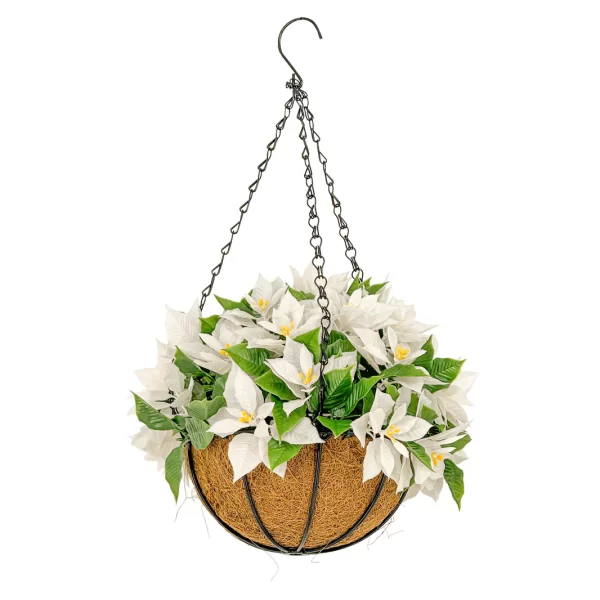 HGD 33cm Outdoor White Poinsettia Hanging basket