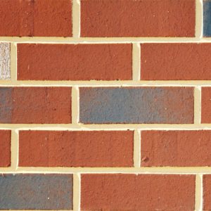 Close-up of a brick wall showing red bricks with light tan mortar and a few blue-gray bricks interspersed.
