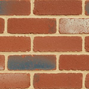 Close-up of a brick wall with red bricks and a few blue-painted bricks, showing textured mortar lines.