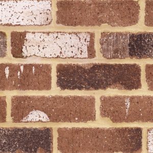 Close-up of a red brick wall with tan mortar and some weathered, chipped bricks showing white patches of old paint.