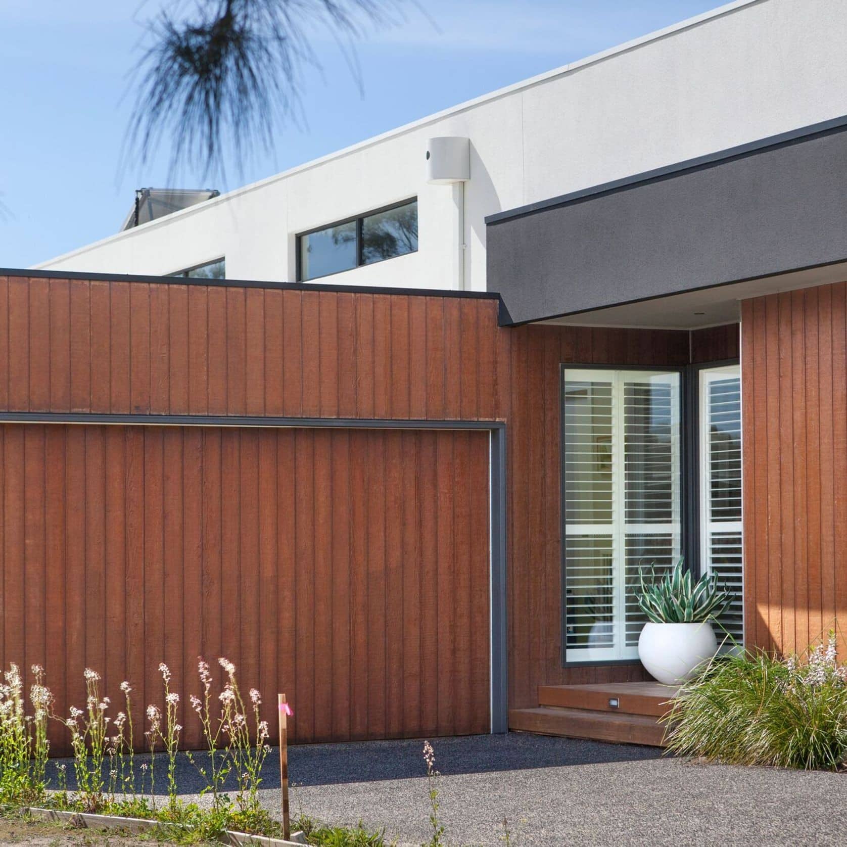Modern house facade with vertical wooden siding, a window with blinds, and a white pot plant on a wooden step.