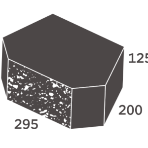 Isometric diagram of a dark rectangular block with a textured front face, labeled dimensions 125, 200, and 295.