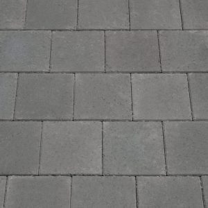 Gray concrete paving stones arranged in a neat grid pattern on a sidewalk or path.