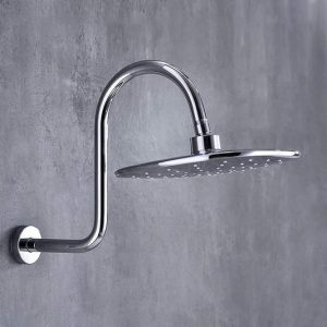 Ascot 290mm Swan Neck Shower Arm & Rose PP029E